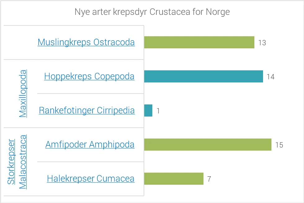 Tabell_Krepsdyr2