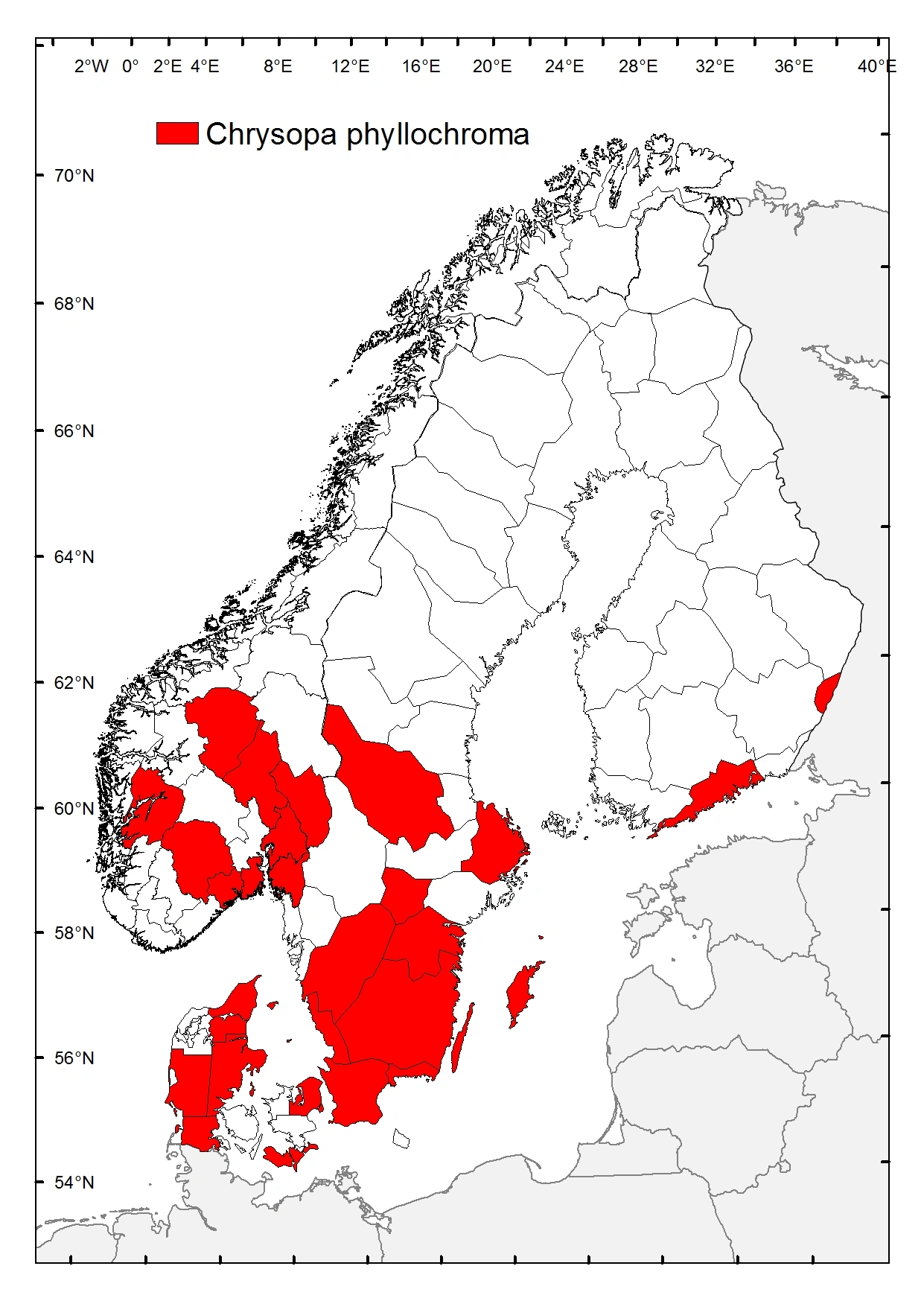 Blakkgulløye.