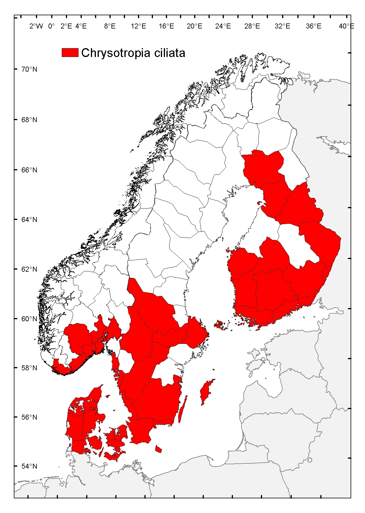 Børstegulløye.