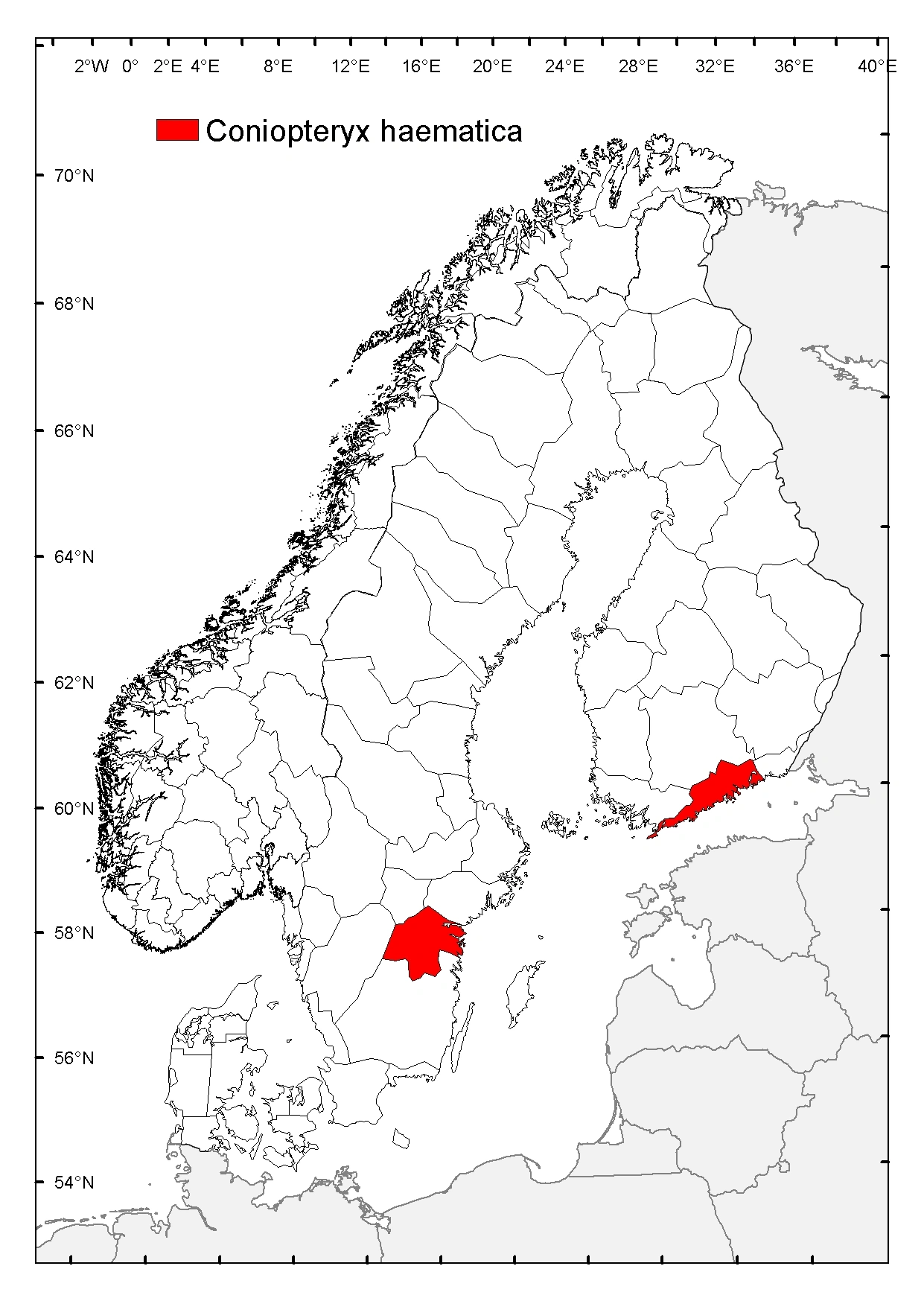 Blodvoksvinge.