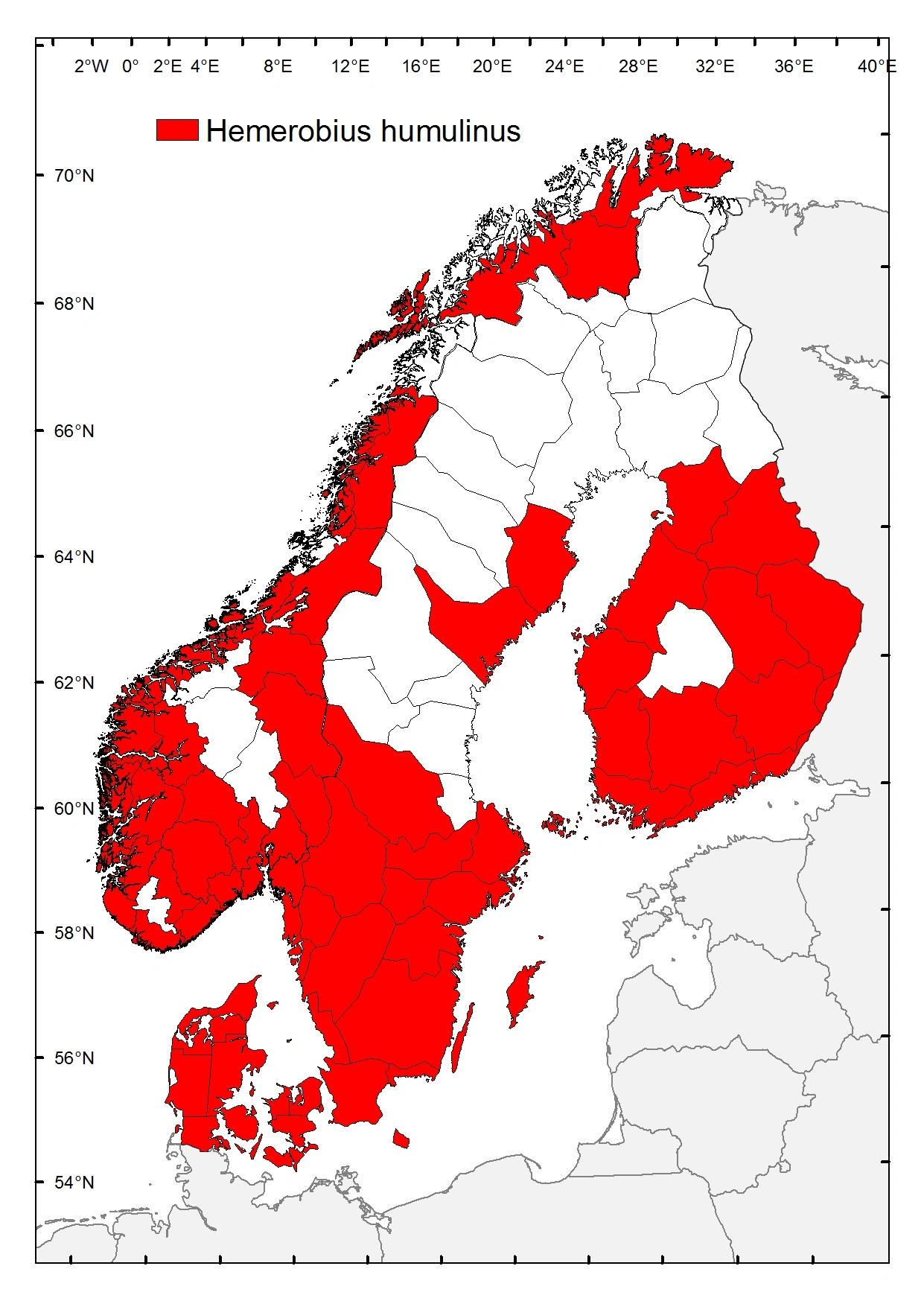 Humlebladlusløve.