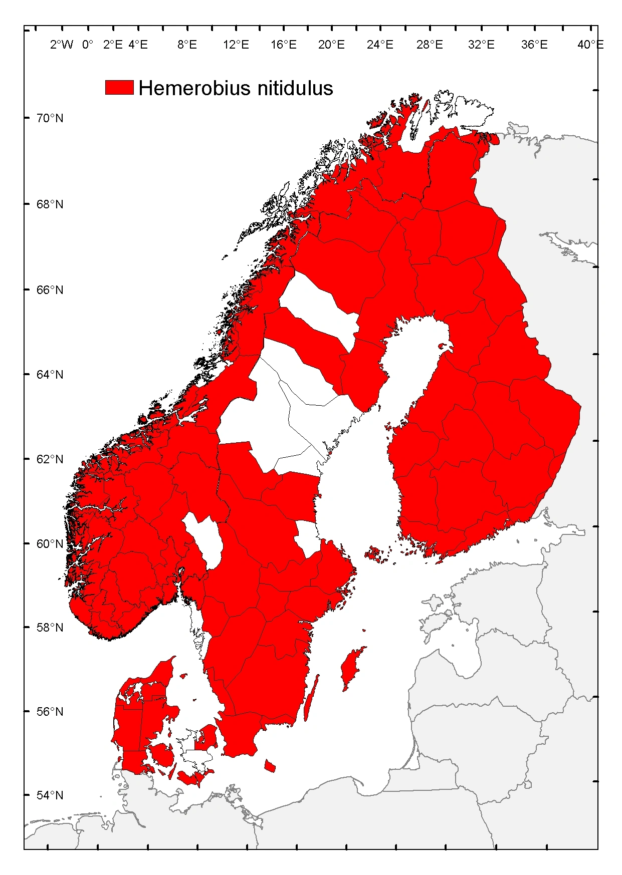 Prikkbladlusløve.