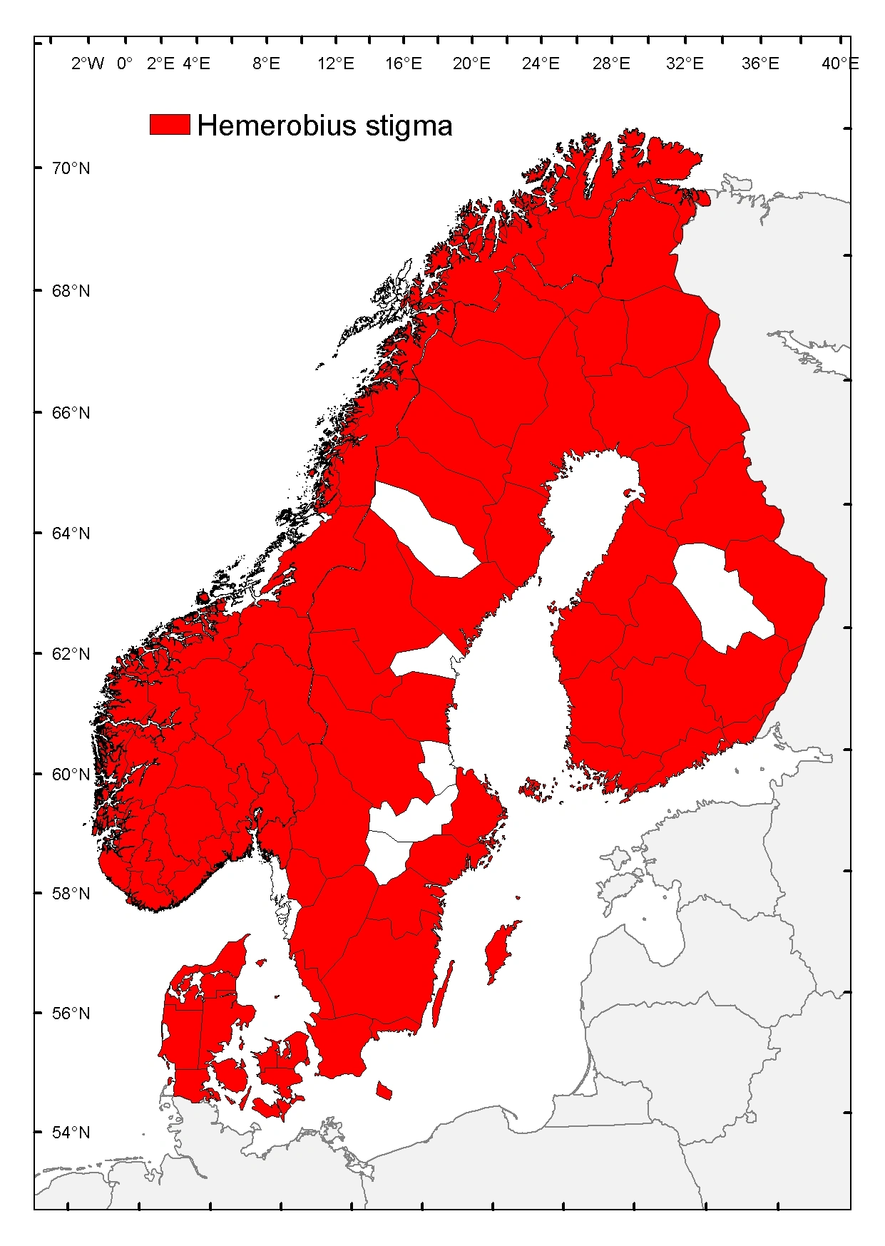 Brunbladlusløve.