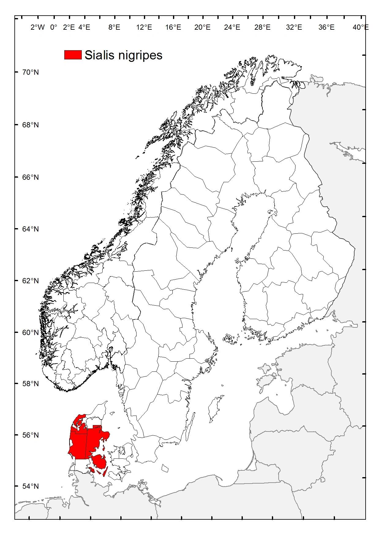 Svartfotmudderflue.