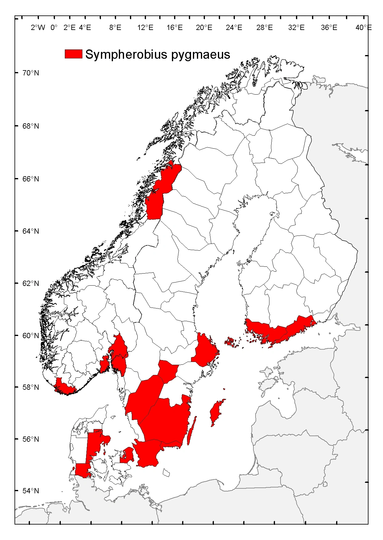 Pygmebladlusløve.