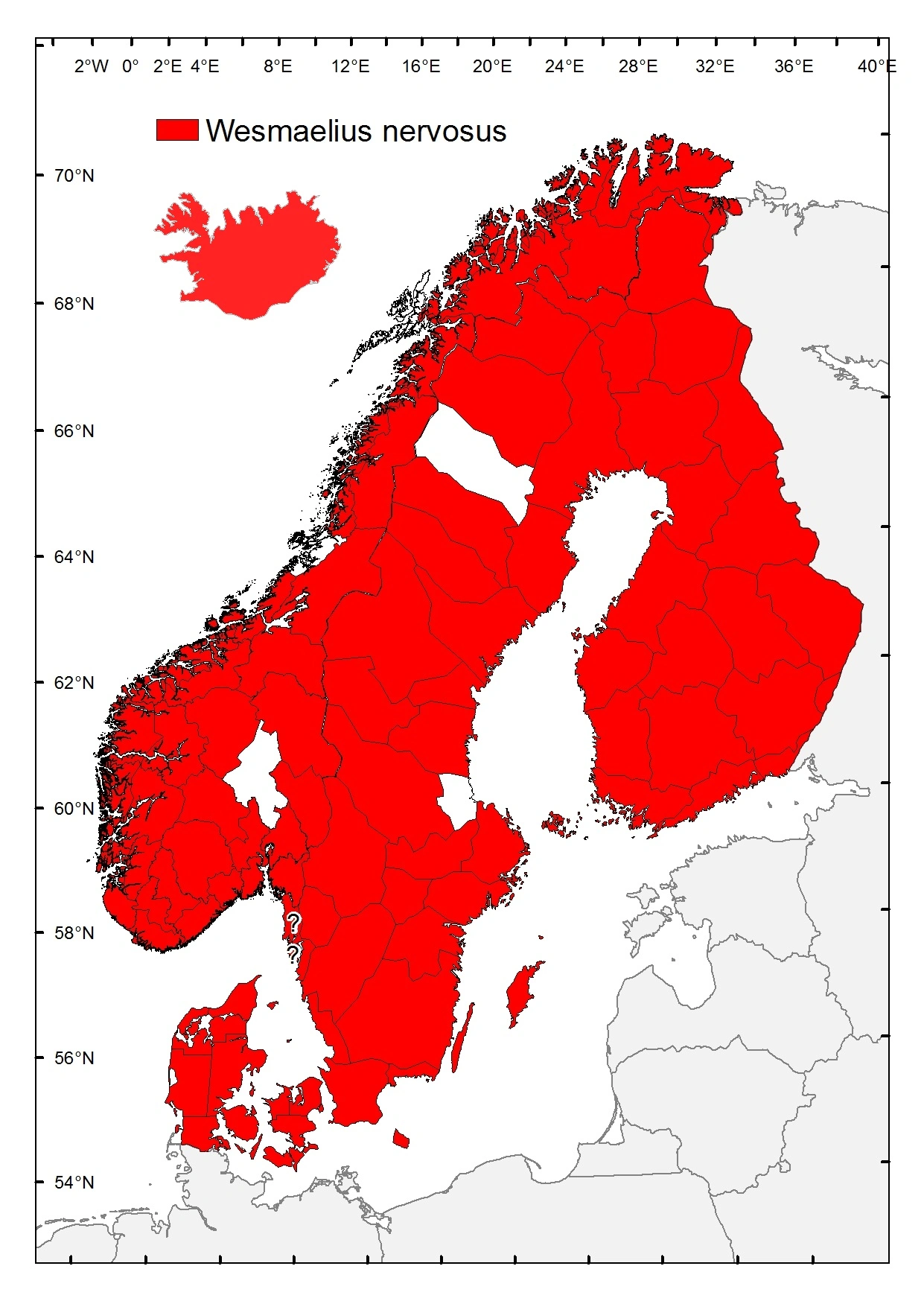 Nervebladlusløve.