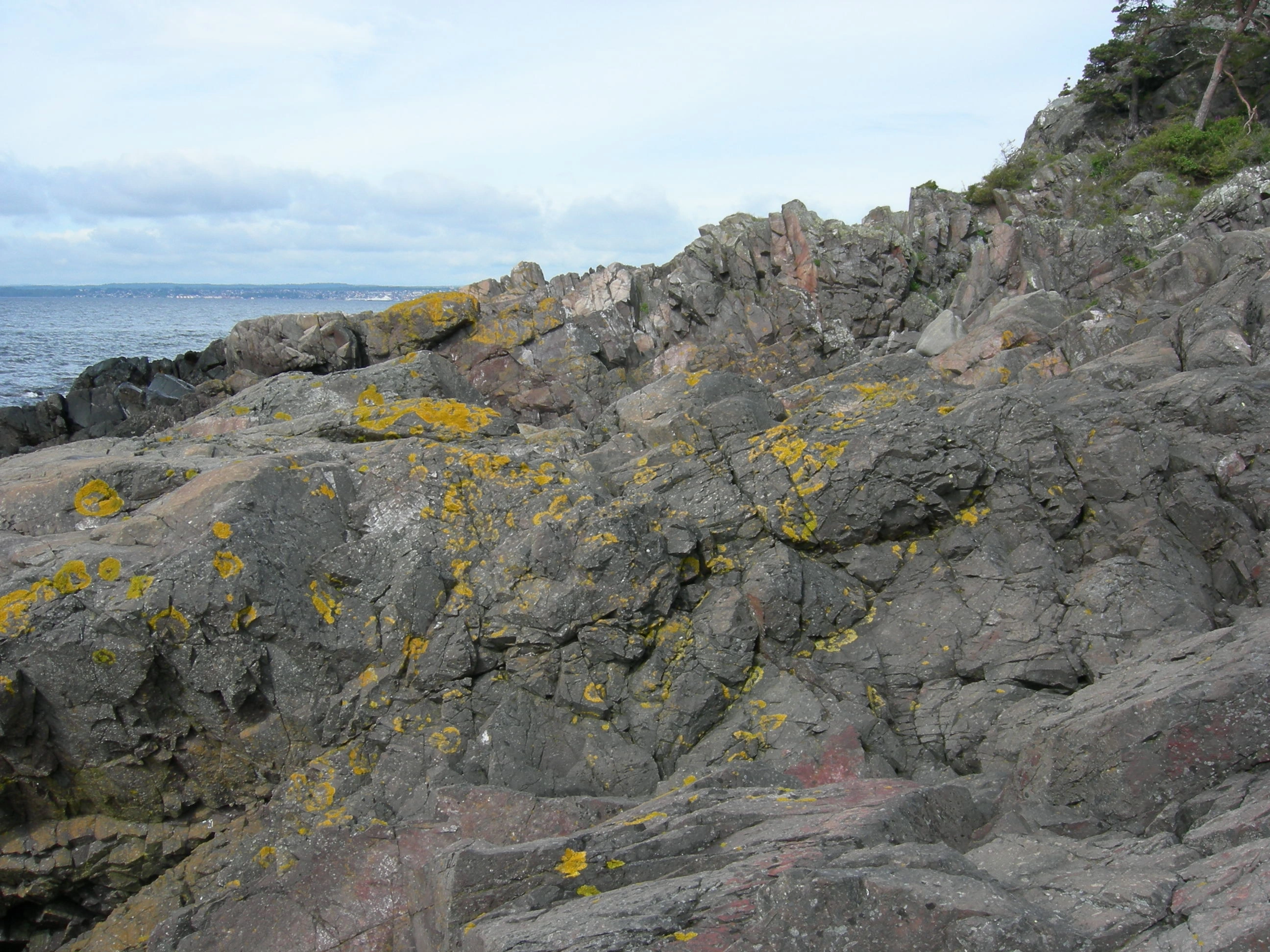 T6-C-1 kalkfattige strandberg.