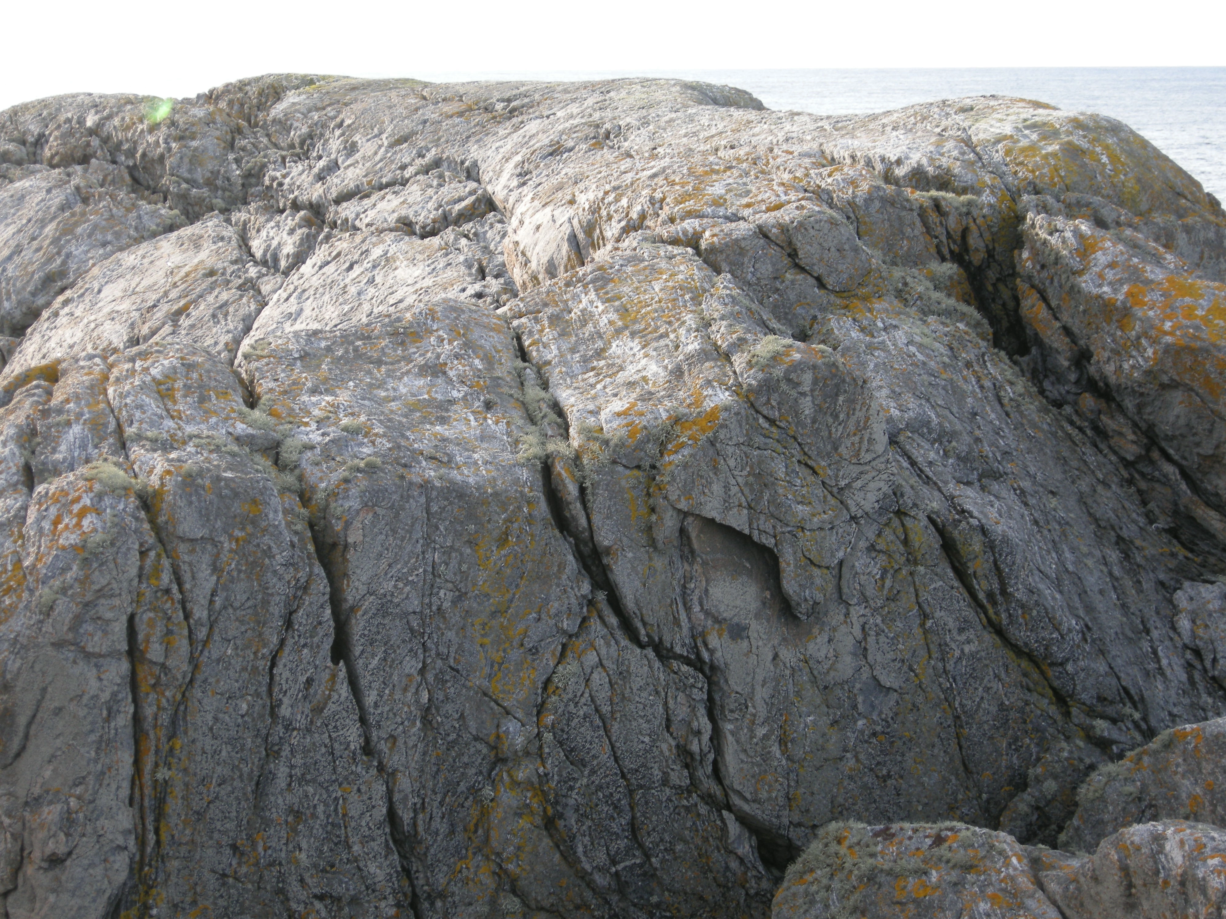 T6-C-1 kalkfattige strandberg.