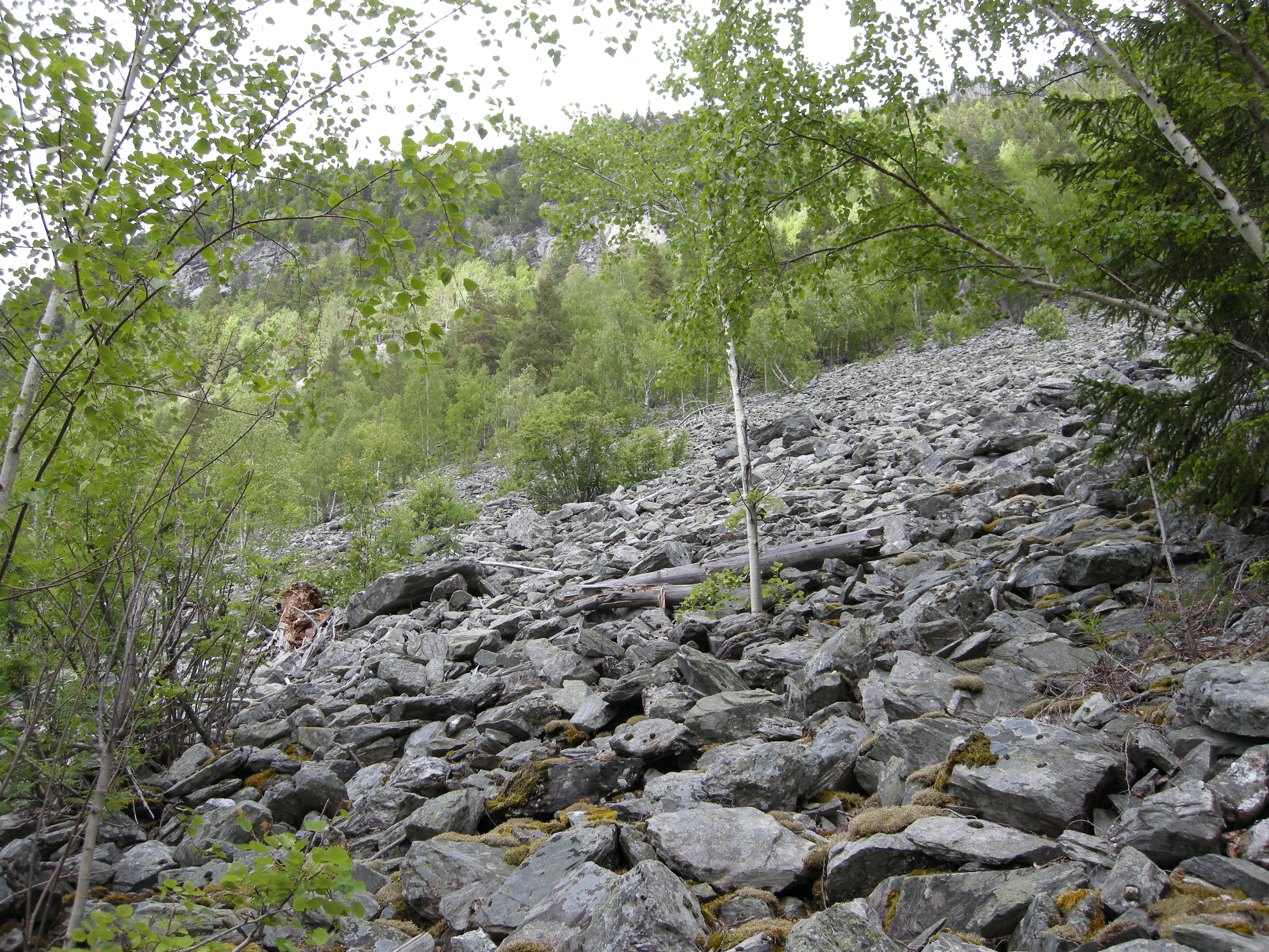 T13-C-4 intermediær og svakt kalkrik grov ur.