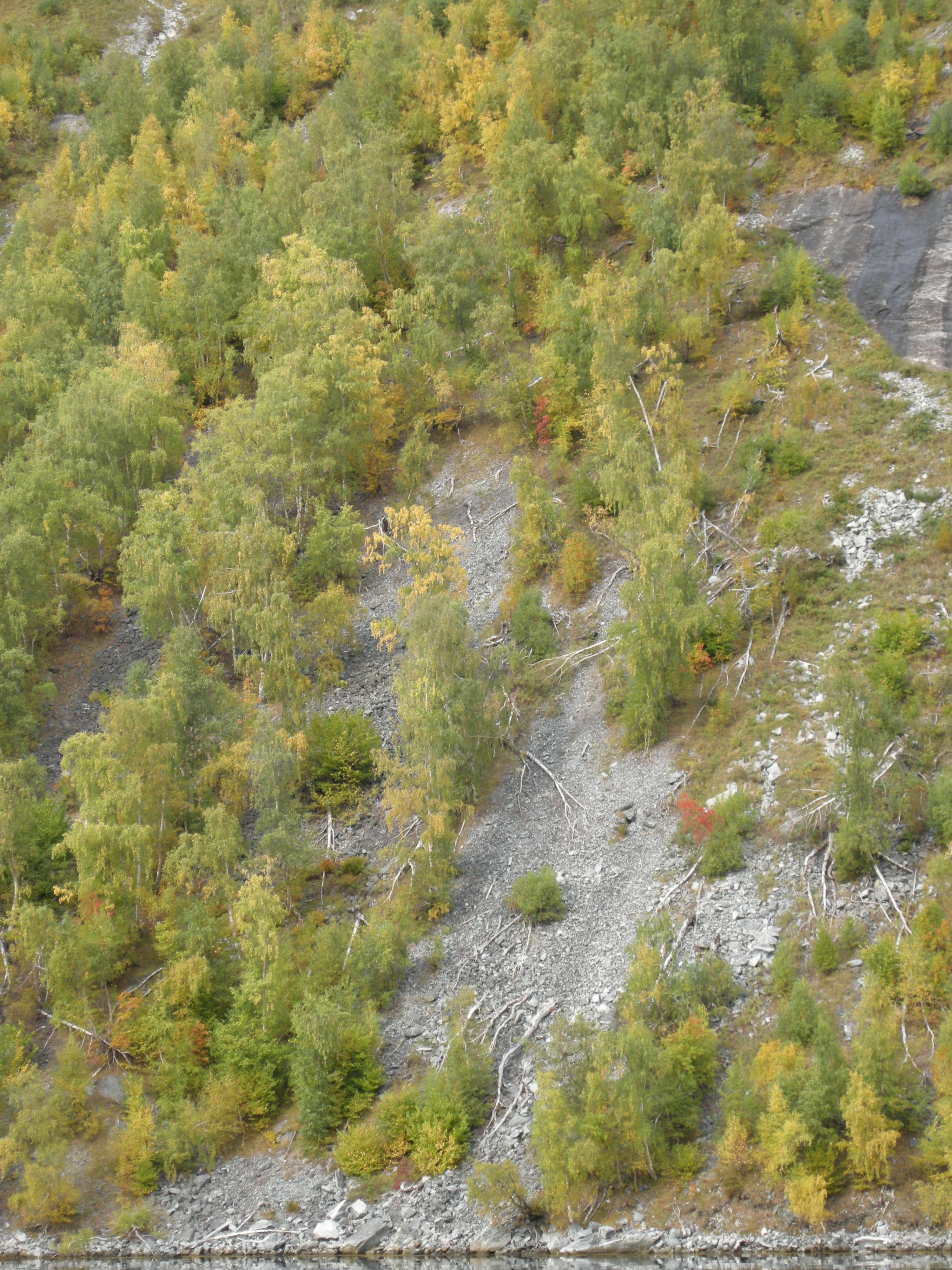 T13-C-5 intermediær og svakt kalkrik ur.