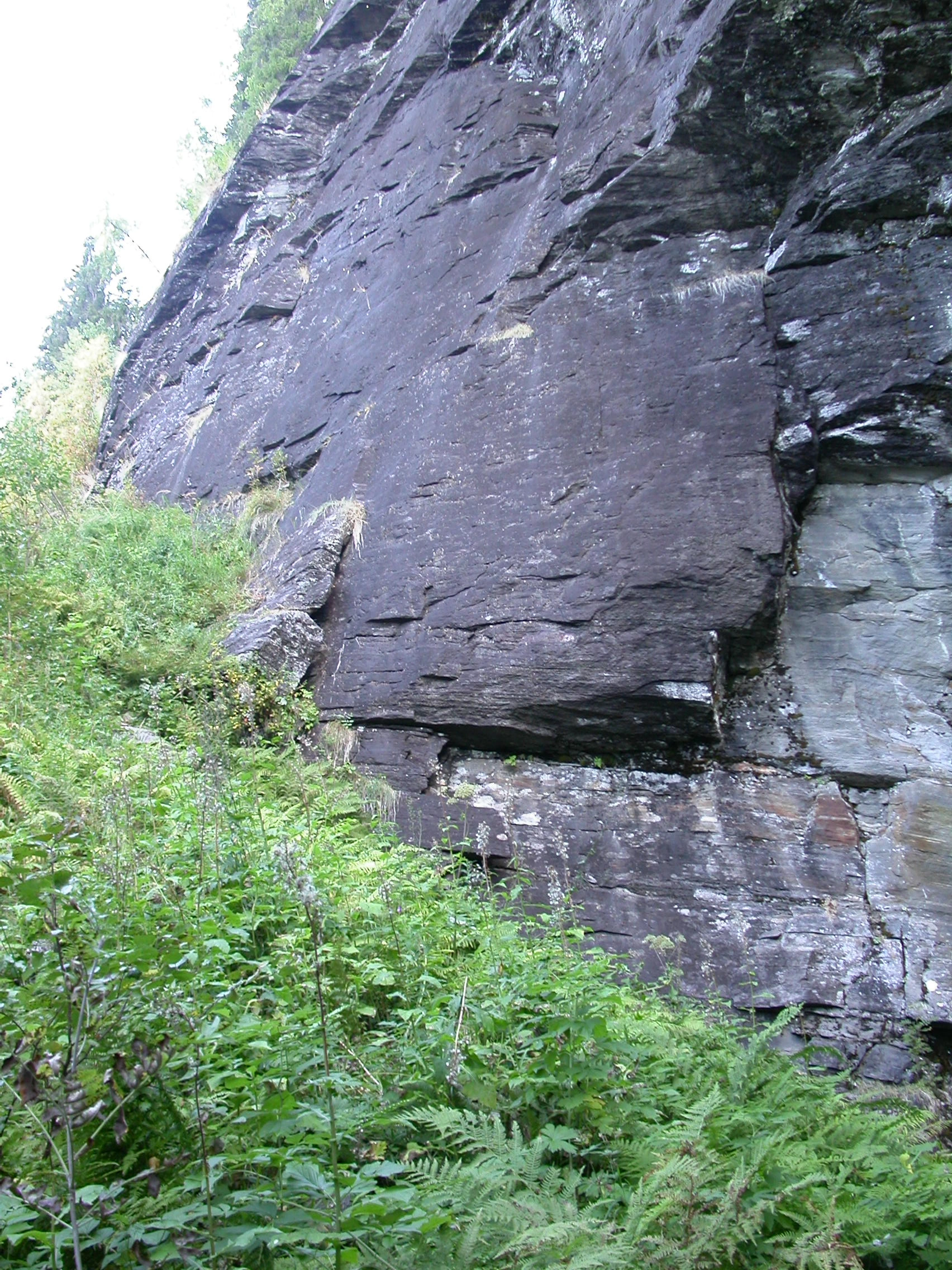 T16-C-6 kildepåvirket kalkrik rasmarkeng og -hei.