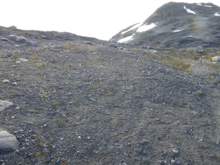 T26-C-4 breforland og snøavsmeltingsområder i pionérfase, dominert av fin grus, sand, silt til leire.