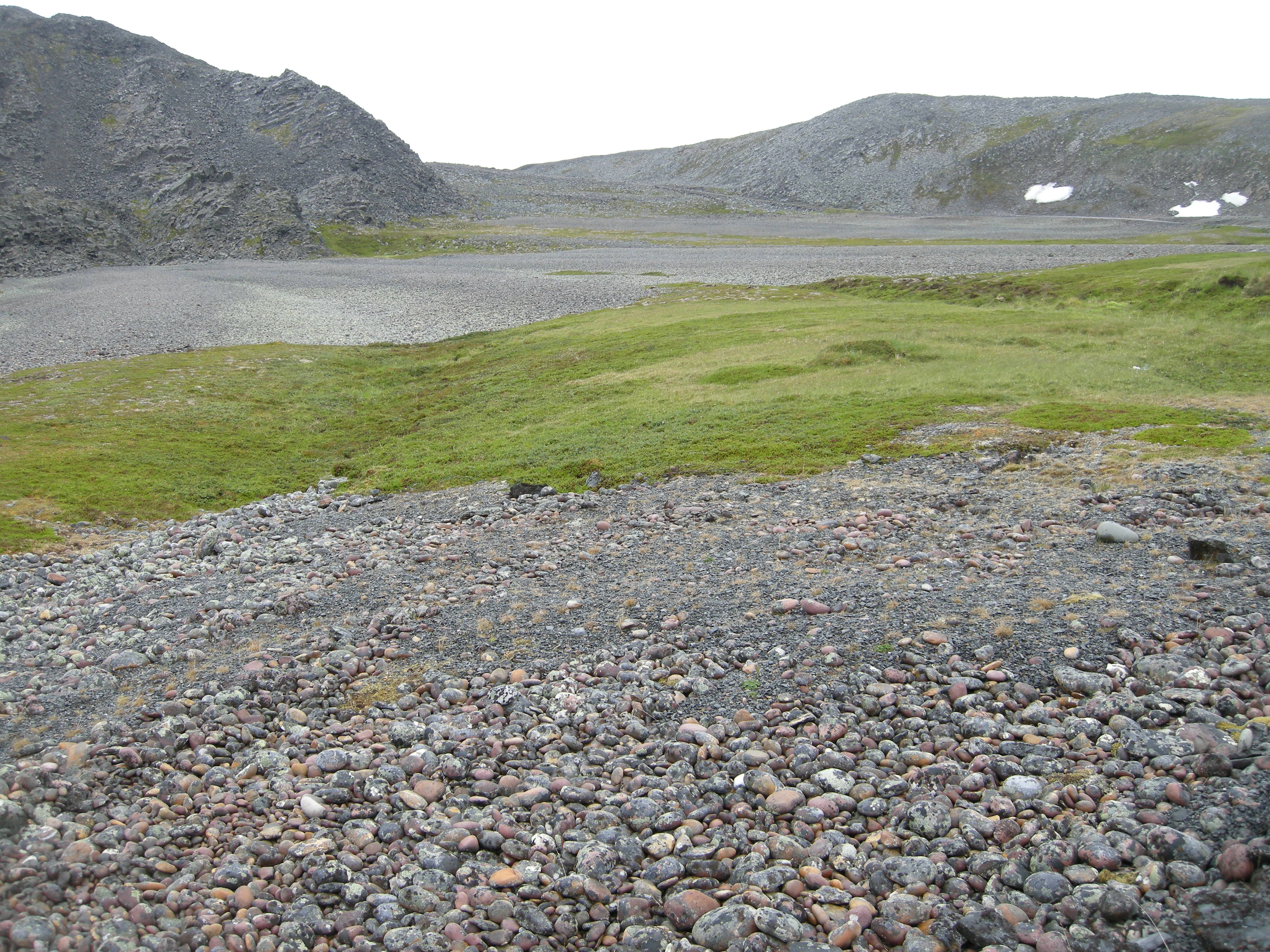 T29-C-1 stein- og grusstrender og strandlinjer i pionérfase på epilitoral fastmark.