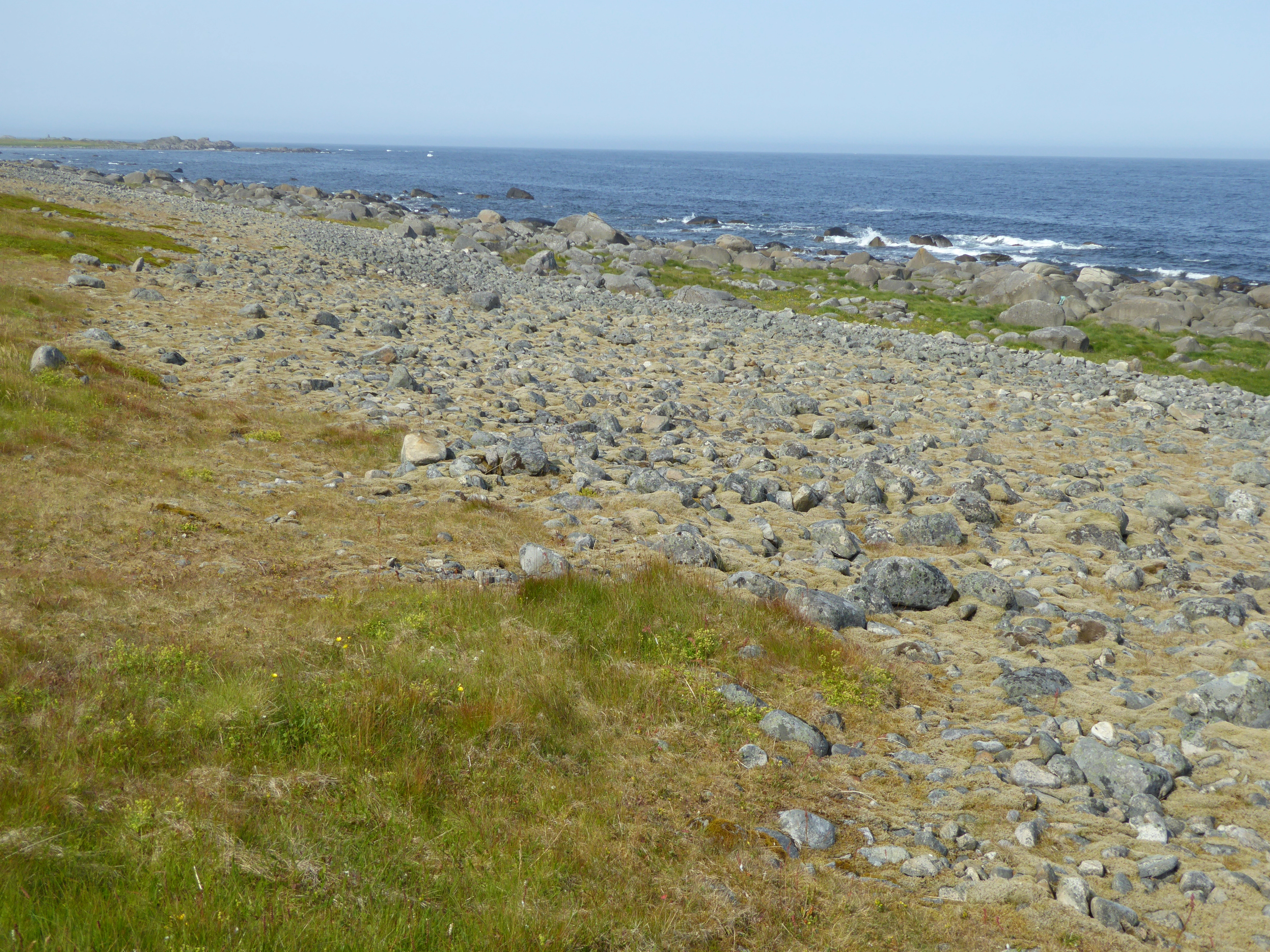 T29-C-2 stein- og grusstrender og strandlinjer i etablerings- og konsolideringsfase på epilitoral fastmark.