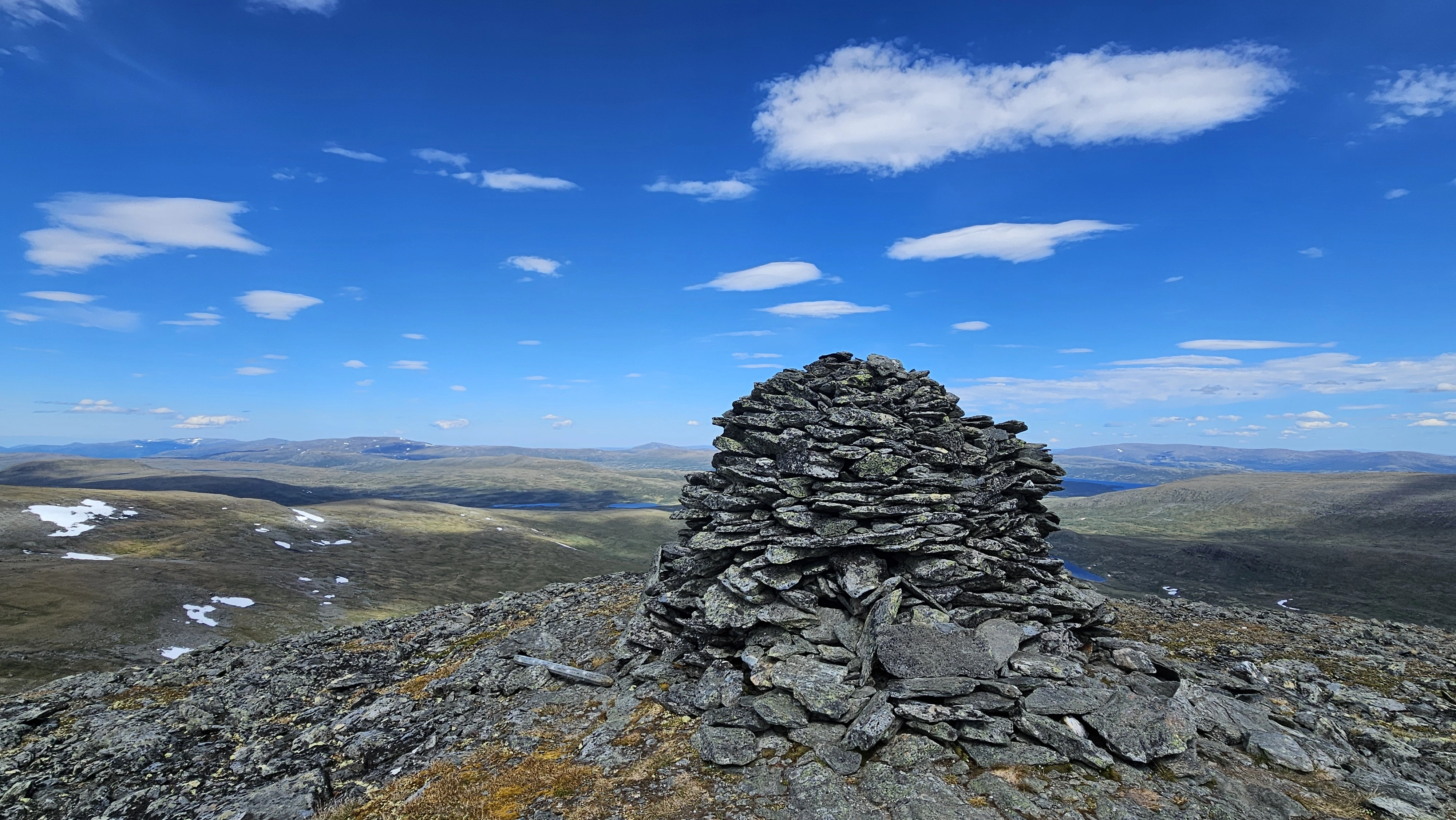 Sørlig tinderublom.